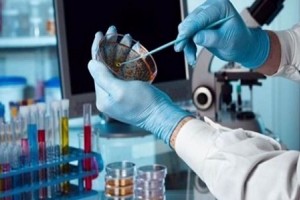 تشخیص مولکولی ویروس کرونا در کمتر از یک ساعت (مطلب)