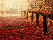 جملات الهام بخش برای زندگی