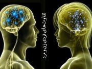 تفاوت‌های فردی زن و مرد (1)