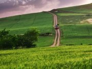 اشتباه نکنید؛ اینجا ایران است