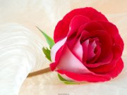 شعری زیبا در مورد حضرت امام علی (ع)