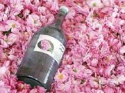 گلاب و اينهمه خاصيت