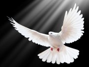 چند رباعی از شاعر خوش ذوق جلیل صفر بیگی