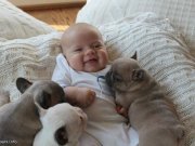 نگهداری حیوانات خانگی برای سلامت کودک شما مضر است