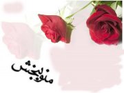 ببخشید من اشتباه کردم!
