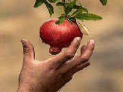 روزی که به سمت تو می آید