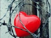 حکایت زیبا و عاشقانه یک زوج با وفا