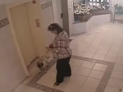 ویدئو  : آسانسور ، سگ ، تخم مرغ (مطلب)