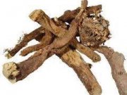 آشنایی با گیاهان رقیق کننده ی خون