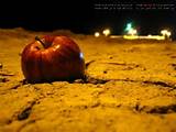 او حسین است