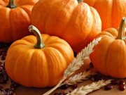 ماسک زیبایی با کدو تنبل