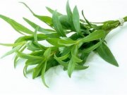 ترخون و ترشک را می شناسید ؟