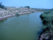 شعری از فاضل نظری