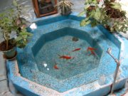 شعری از مهدی فرجی