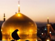 دستخط قدیمی و متبرک امام رضا (ع) (مطلب)