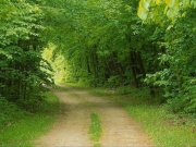 شعری از مرتضی خدمتی