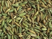 دم‌نوش رازیانه مفید برای لاغری