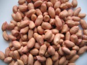 این نوع بادام را بیشتر بشناسید