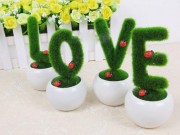 نمونه های جدید و زیبای سبزه عید