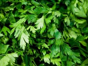 با جعفری تر و تازه بمانید