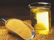 کنجد، خواص و فواید کنجد، برای زیبایی بانوان و…