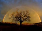 حسین منزوی / تا صبحدم به یاد تو شب را قدم زدم