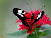 جملات زیبا و خواندنی