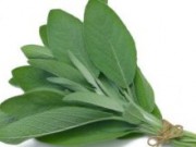 مرموک و درمان زوال عقل