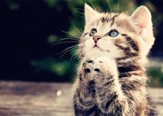 اینطوری به خواسته هایتان می رسید..