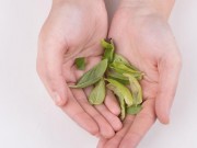 نکات مثبت و منفی درباره ادویه ای به نام آویشن