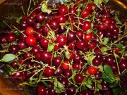 ویدئو :  طرز تهیه حلوای آلبالو