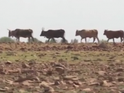 ویدئو :فاجعه پایان منابع طبیعی نزدیک تر از آن است که می پنداری
