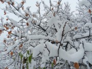 شعری از مهدی فرجی