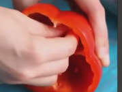 ویدئو :  دلمه گوشت (مطلب)