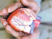 ویدئو : ماجرای پرتپش و نفس گیر انتقال یک قلب از بوشهر به تهران (مطلب)