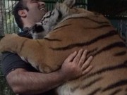 ویدئو :  سرشاخ شدن بهداد سلیمی با یک ببر (مطلب)
