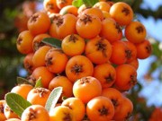 6 روش آرام کردن تپش قلب (مطلب)