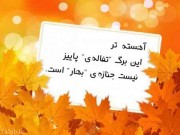 عکس نوشته های احساسی و رمانتیک پاییزی (مطلب)