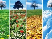 روانشناسی انواع مزاج های مختلف (مطلب)