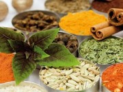مواد خوراکی موثر در درمان و کنترل دیابت (مطلب)
