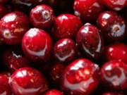 زغال اخته کوچک اما پرفایده (مطلب)