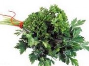 خواص دارویی جعفری (مطلب)