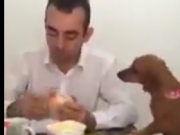 ویدئو : ای جانم (مطلب)