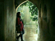 شعر بذر جنون