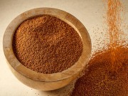 خواص و فواید خاکشیر را بدانید (مطلب)