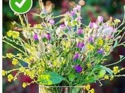 ایده های مناسب برای نو کردن گل های طبیعی خانه