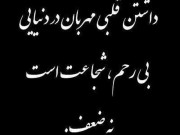 ویدئو :    کفتر گرفتار و شهروند فداکار -دی دیل (مطلب)