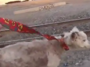 ویدئو :   همچنان به آدمها امیدوار باشیم! (مطلب)