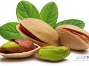 ویدئو :     راهی اسان برای کاشت پسته از دانه (مطلب)