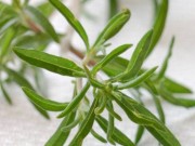با خواص مرزه بیشتر آشنا شوید (مطلب)